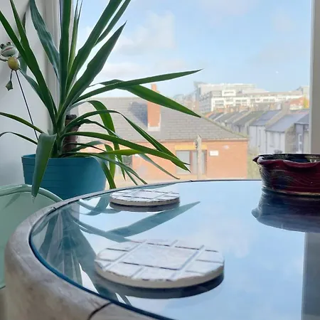 Apartment Stylish High Ceiling In South Center Dublin