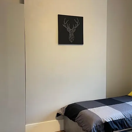 Apartment Stylish High Ceiling In South Center